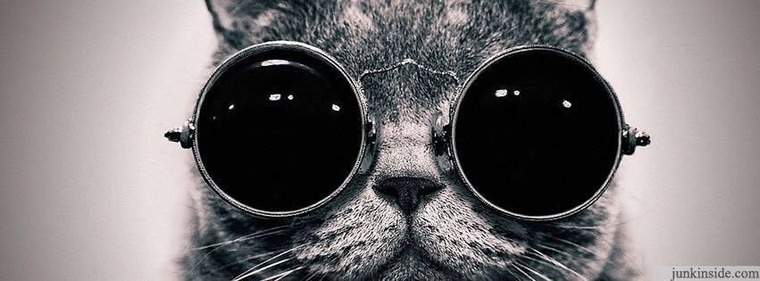 Queen Solez banner image