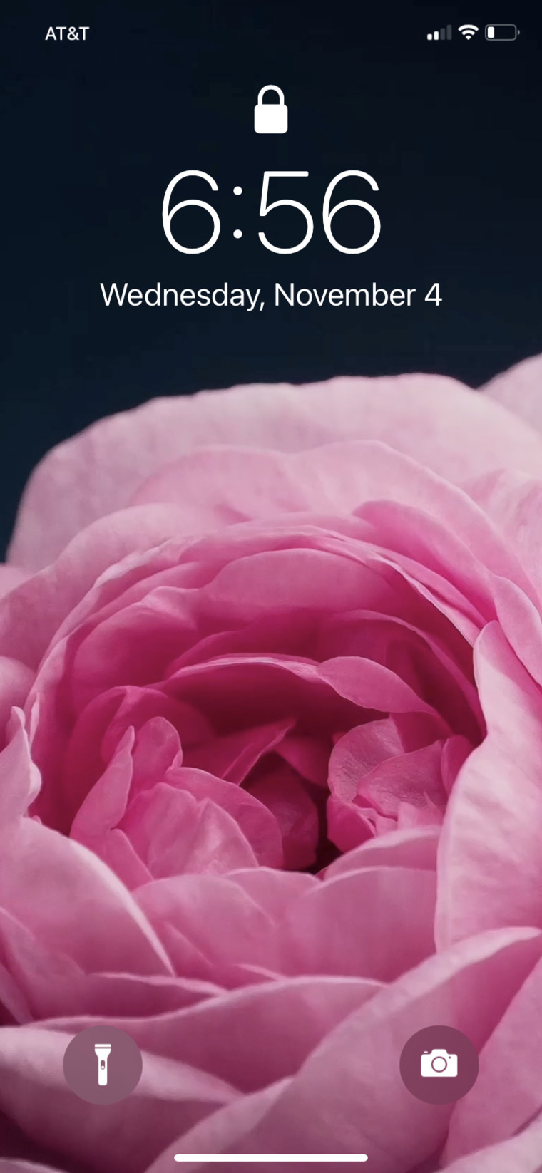 QCASMR banner image
