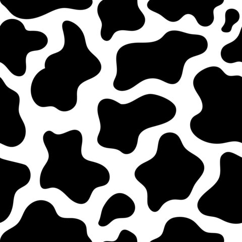 QnMochi cover image