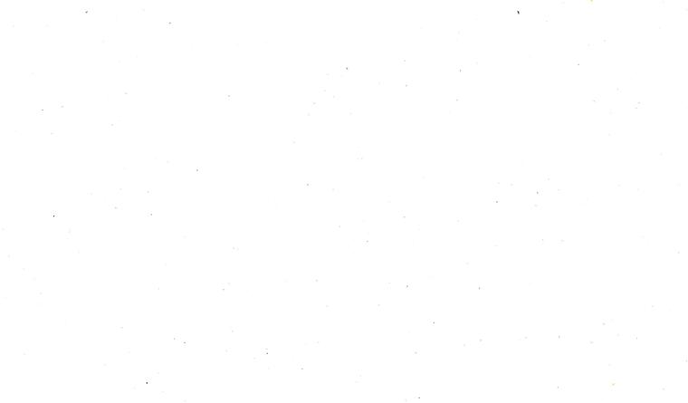 Jackie banner image
