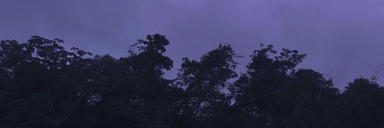 Qt_Missxx cover image