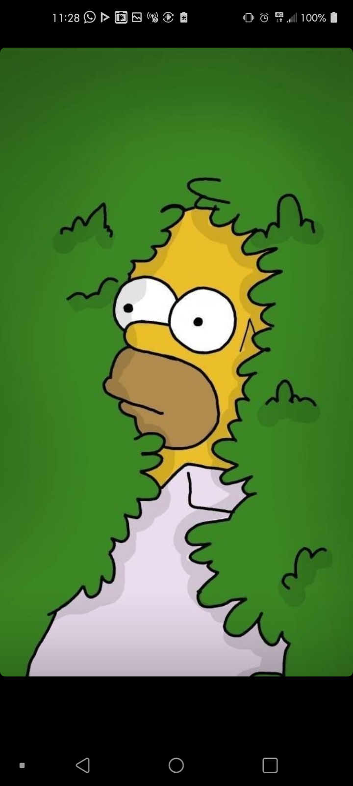 Paati Contreras banner image
