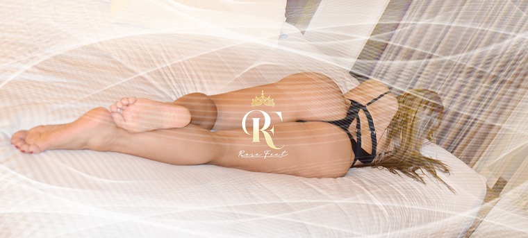 Rose cover image