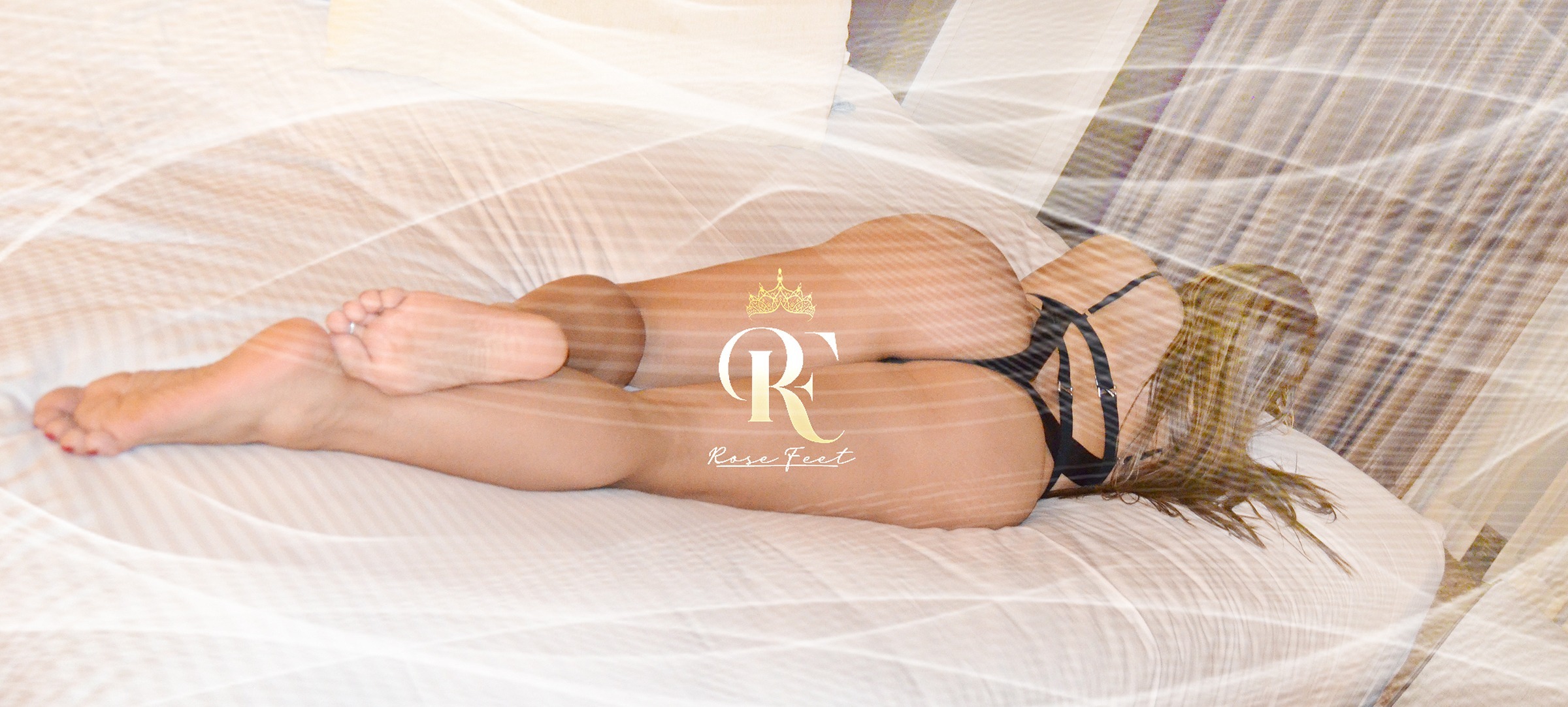 Rose banner image