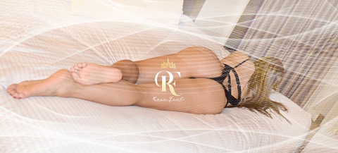Rose cover image