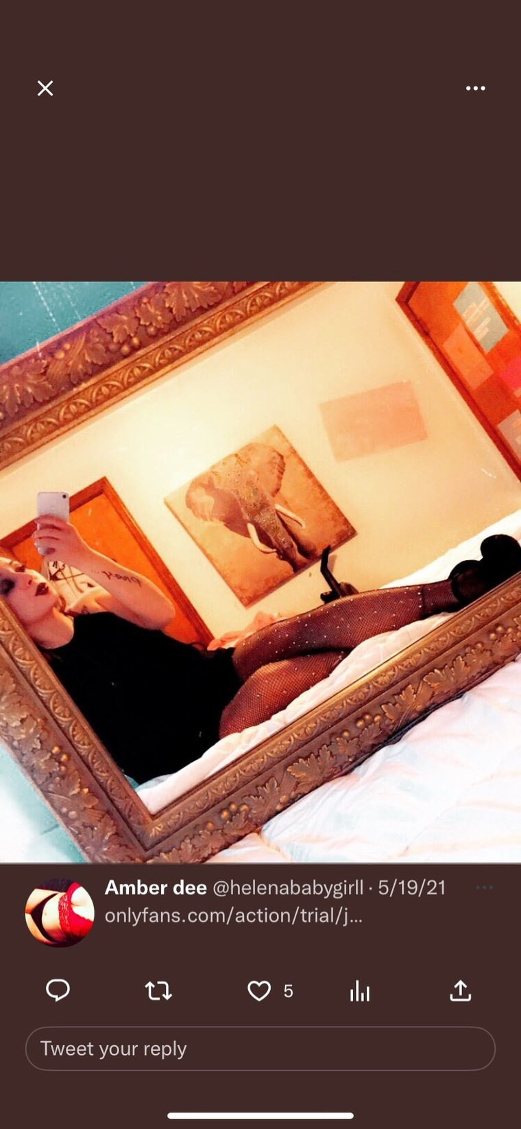 Amber Dee cover image
