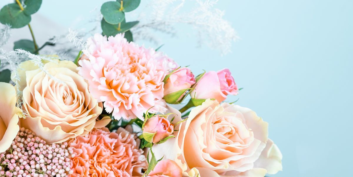 brittany_stargirl02@yahoo.com banner image