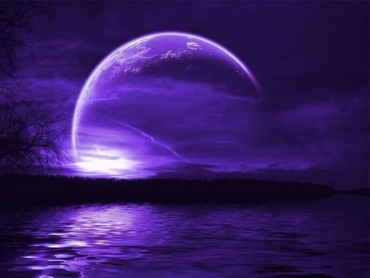 OnMyNeez cover image