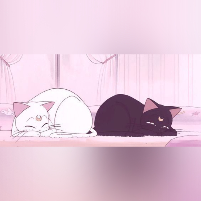 ⋆˖⁺‧₊☽ Queen Nova ☾₊‧⁺˖⋆ banner image