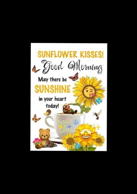 Sunshine banner image