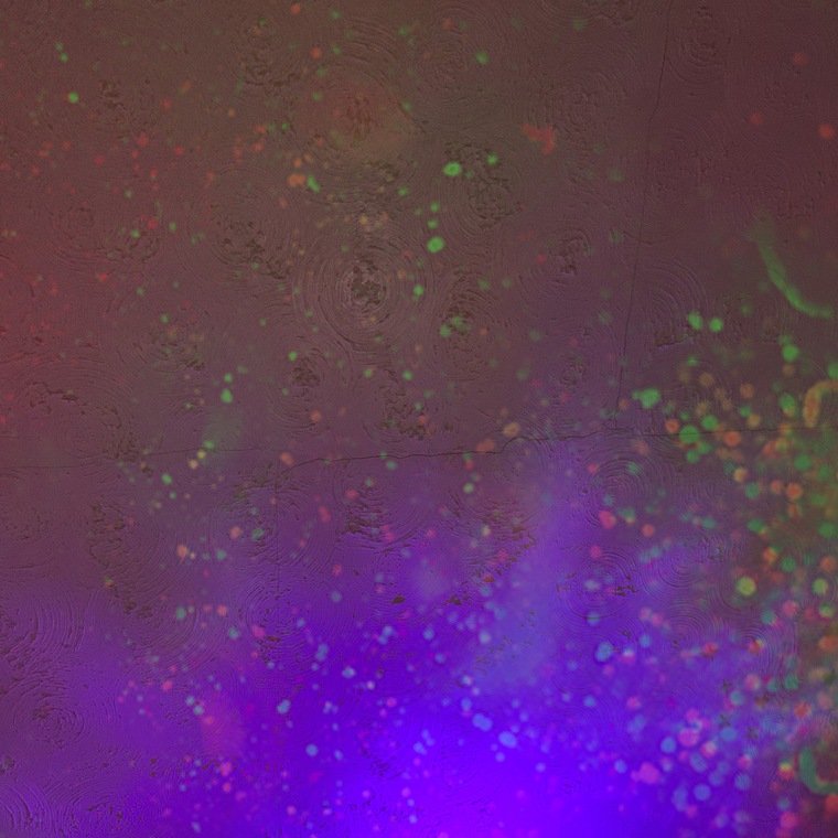 ◥(◎ᵥᵥ◎)◤ cover image