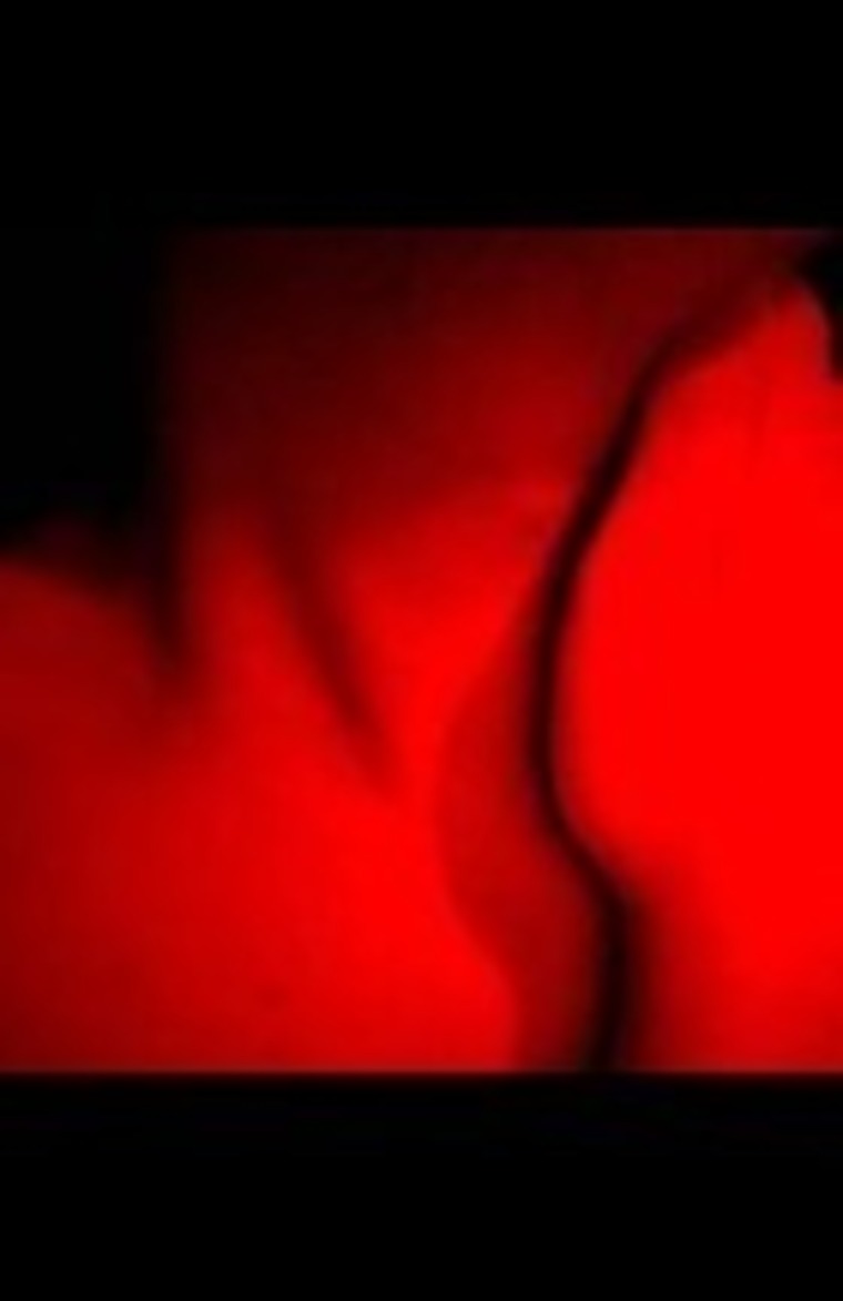 Dominat_quetz cover image