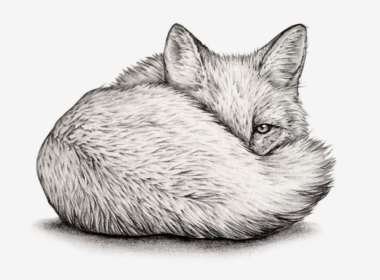 Quinn Fox cover image