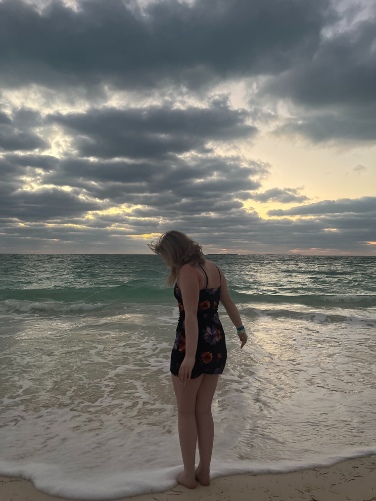 Quinn rose cover image
