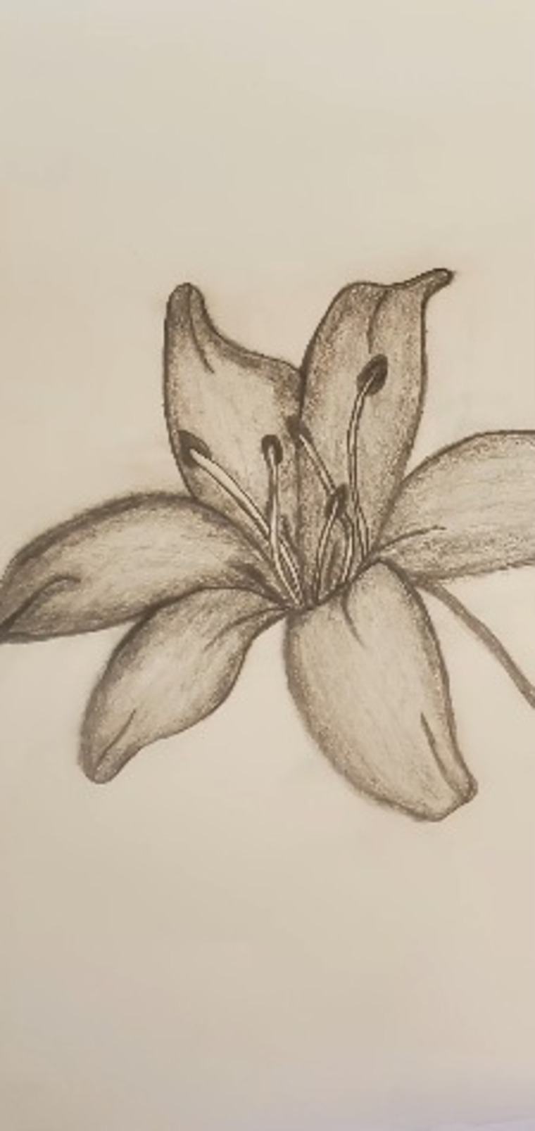 Quintessa Shirley banner image