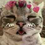 Yummy avatar