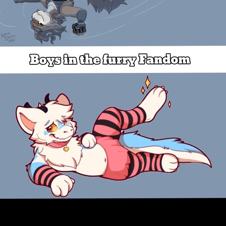 Brodie banner image