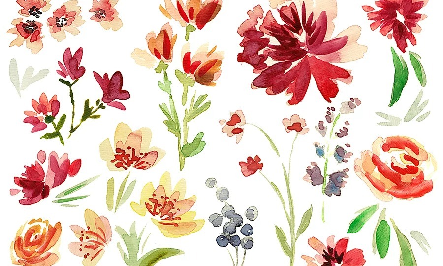 Rose🌹 banner image