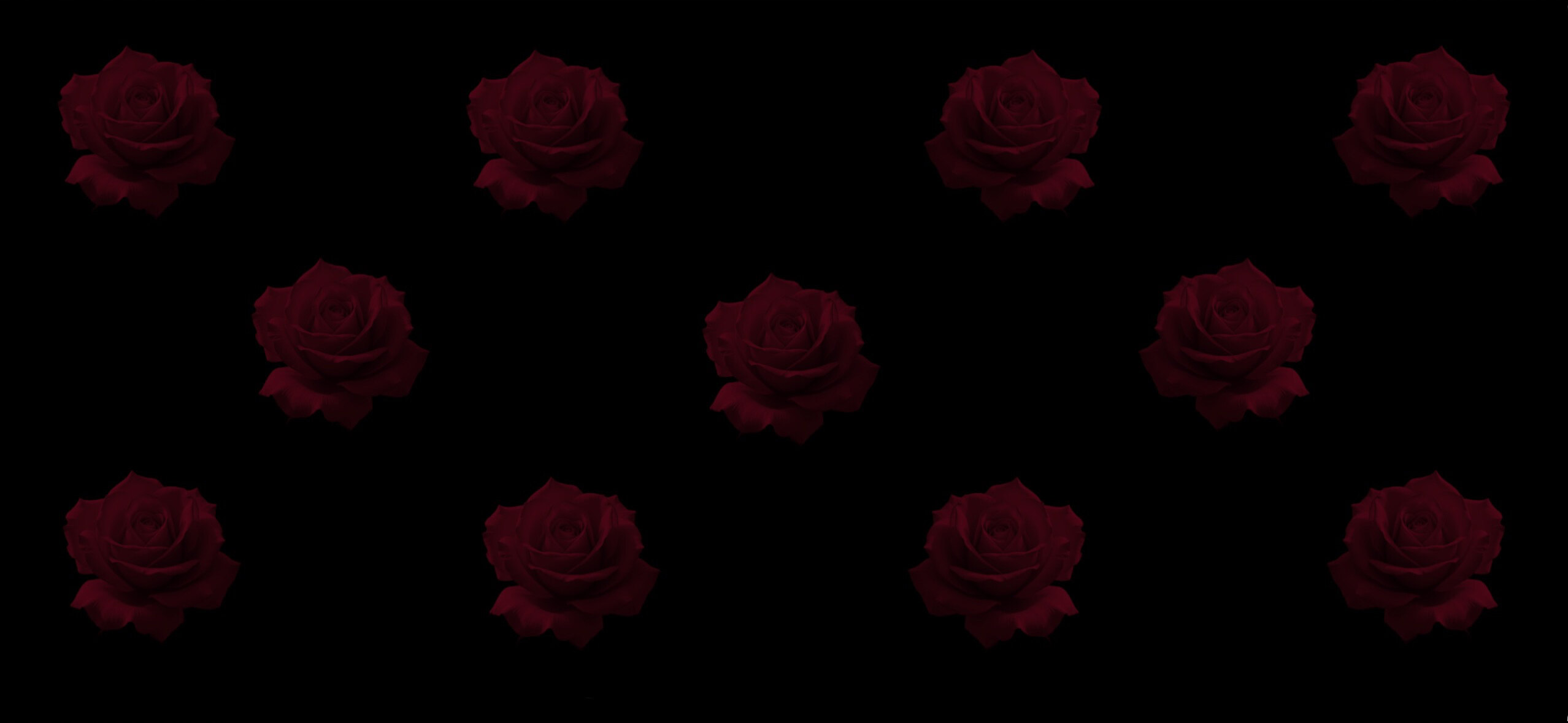 Rose banner image