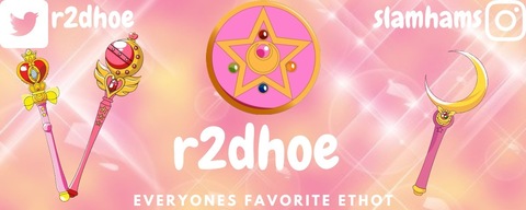 R2DHoe cover image