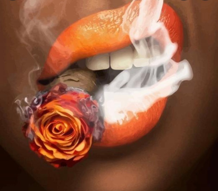 r3db00bs cover image