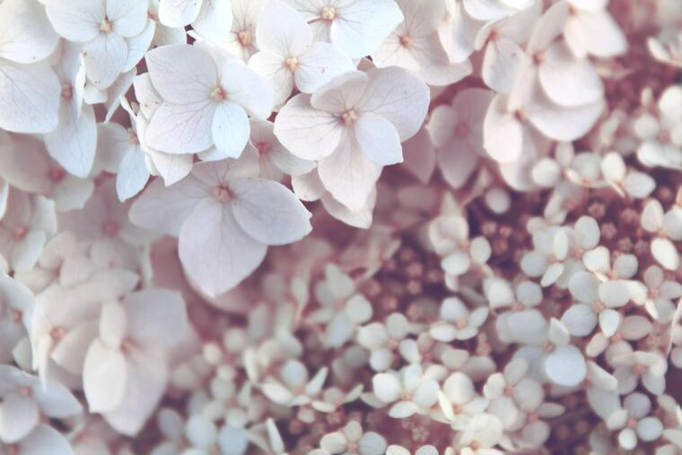 Rachel Davis cover image