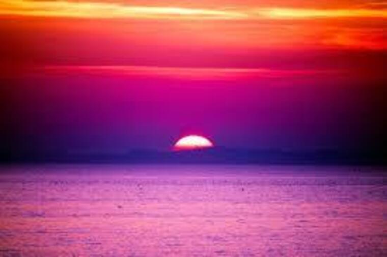 u48991074 banner image