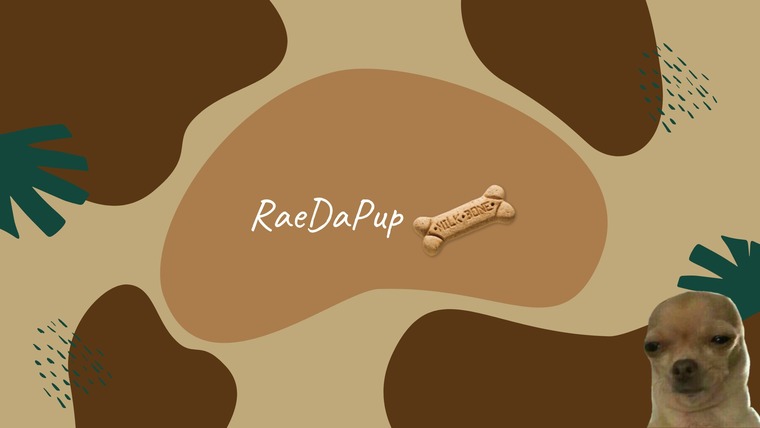 RaeDaPup cover image