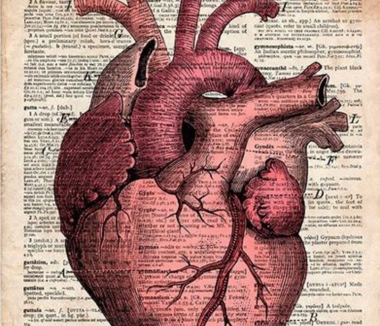 Ragnacök cover image