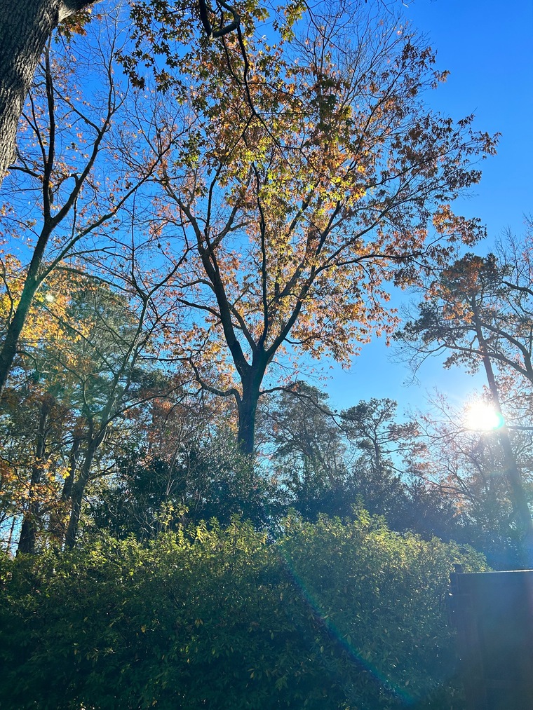 Rainbowman🌈 banner image