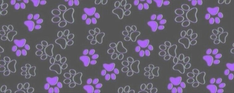 Rain banner image