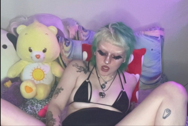 bug 🪲🌈 cover image