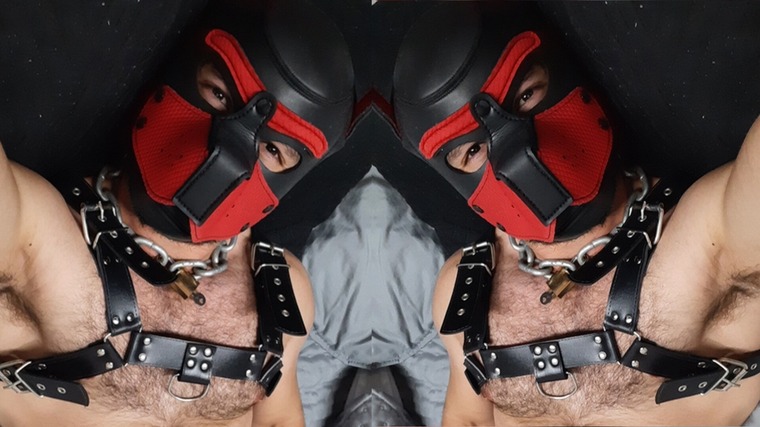 ralf pup cover image