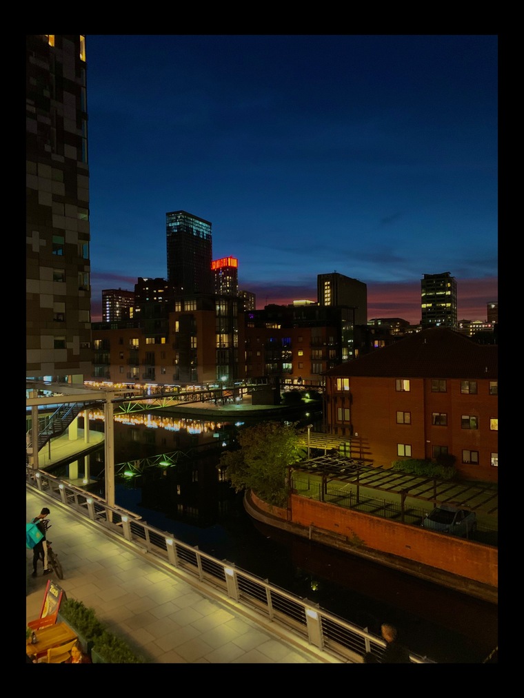Ramina cover image
