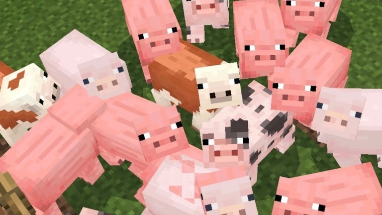 Randa Rice 🍚 banner image