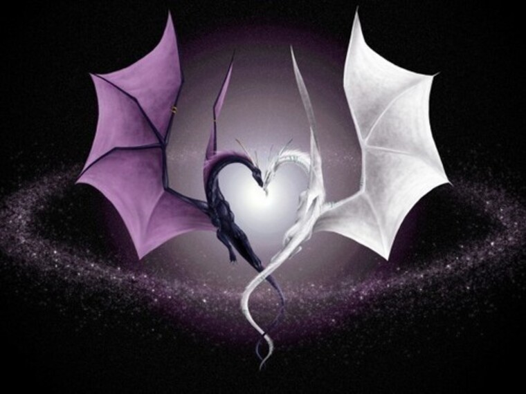 RandomKitty banner image