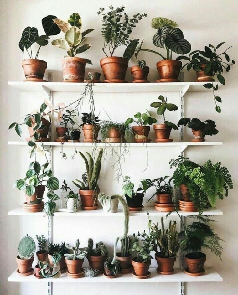Randi banner image