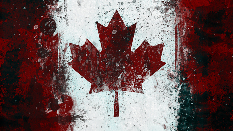 RaphBear banner image