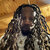 Rap avatar