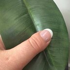 Rare Digit Sis avatar