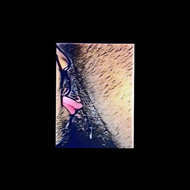 RasBunnies cover image