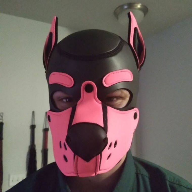 Rascal pup cover image