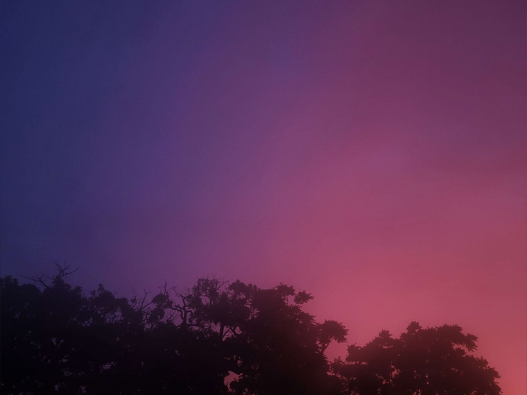 Cherry cover image