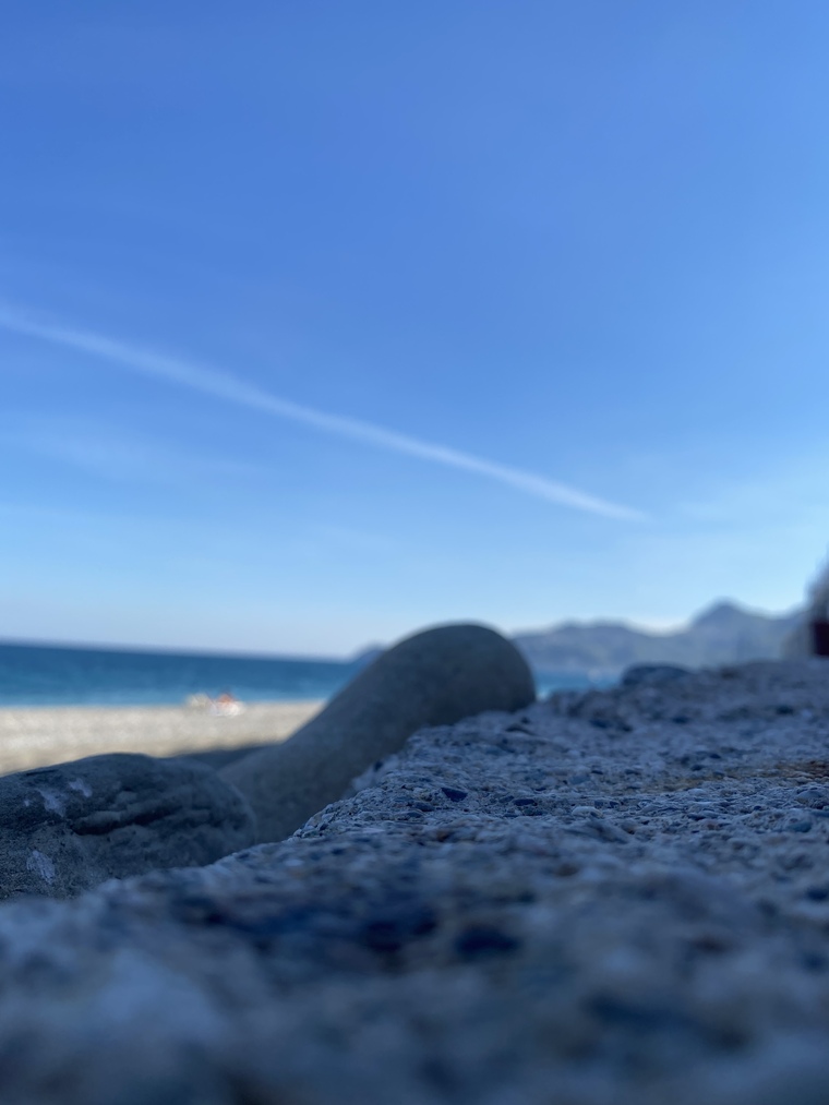Raul cover image
