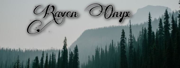 Raven Onyx banner image