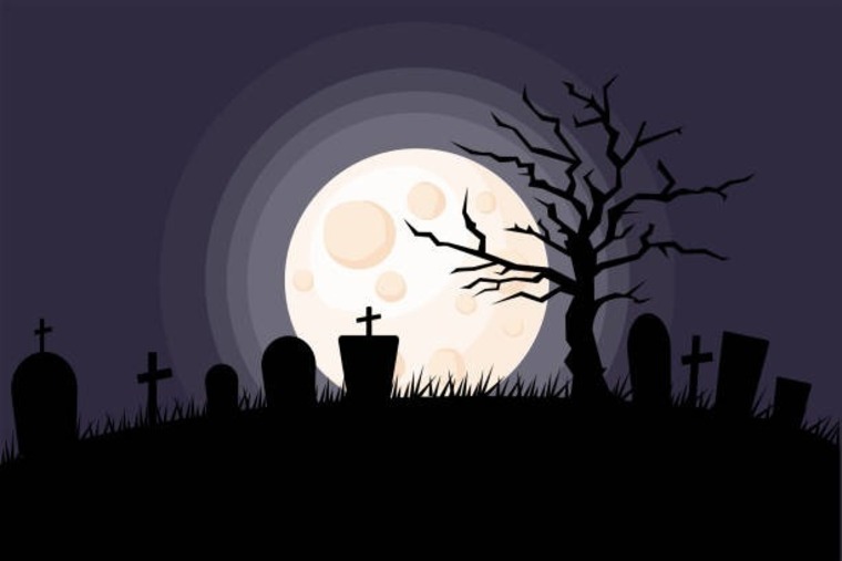 Wren banner image