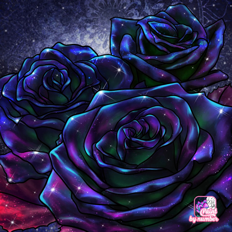 Raven Bloomfield cover image