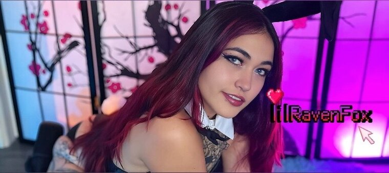 Raven Fox 🐾 banner image