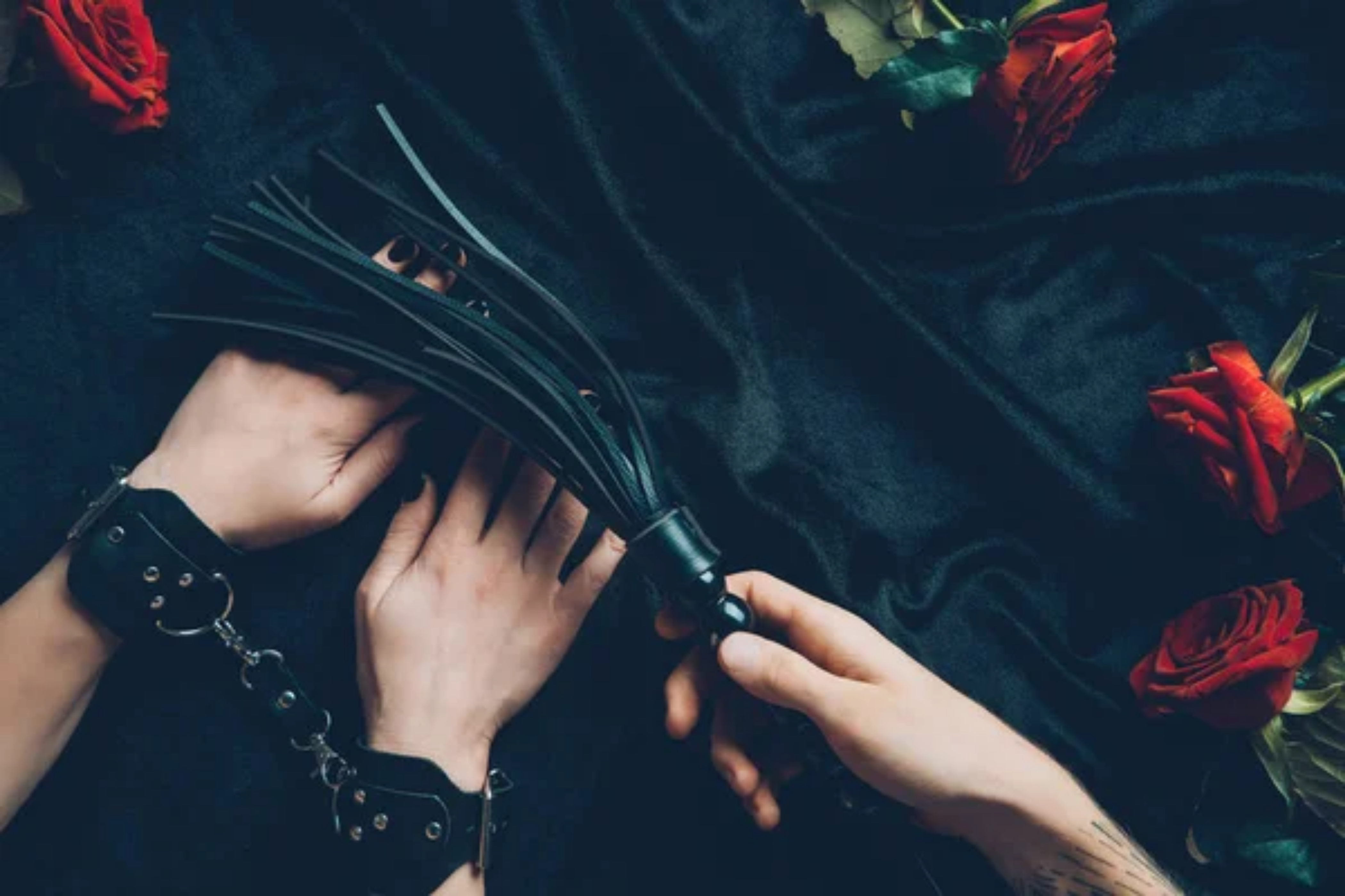 Raven Nevermore banner image