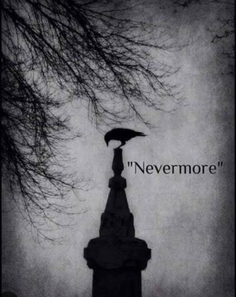 ~RavensFeather~ cover image